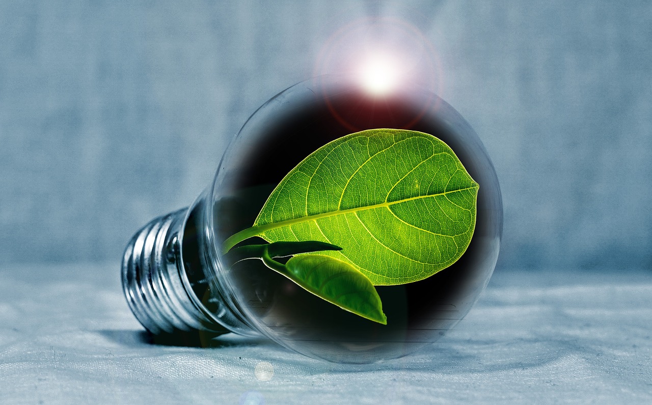 Pushing Boundaries with Green Energy Innovations